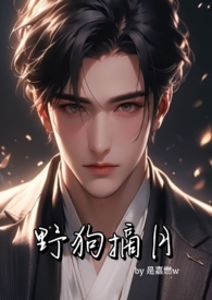 野狗的小说